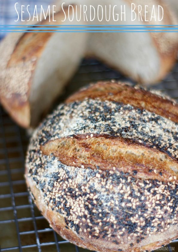 Sourdough Bread