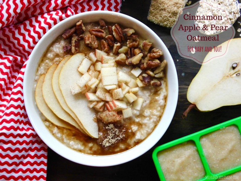 Cinnamon Apple and Pear Oatmeal for Baby and Family