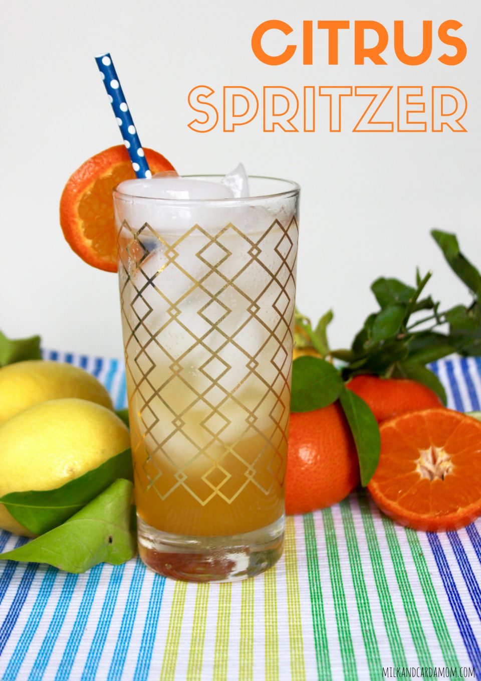Citrus Spritzer