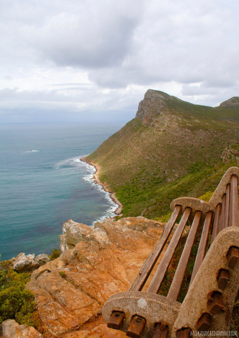Road Trip- Cape Town to Cape Point 