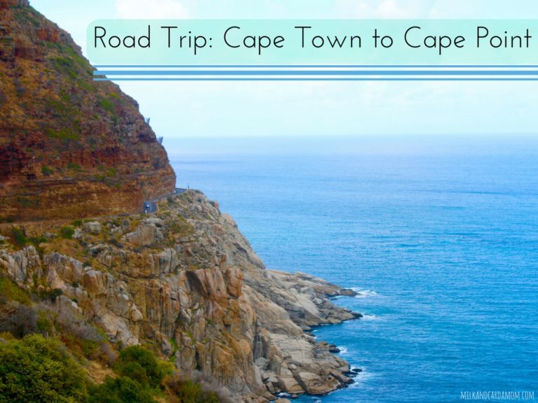Road Trip- Cape Town to Cape Point