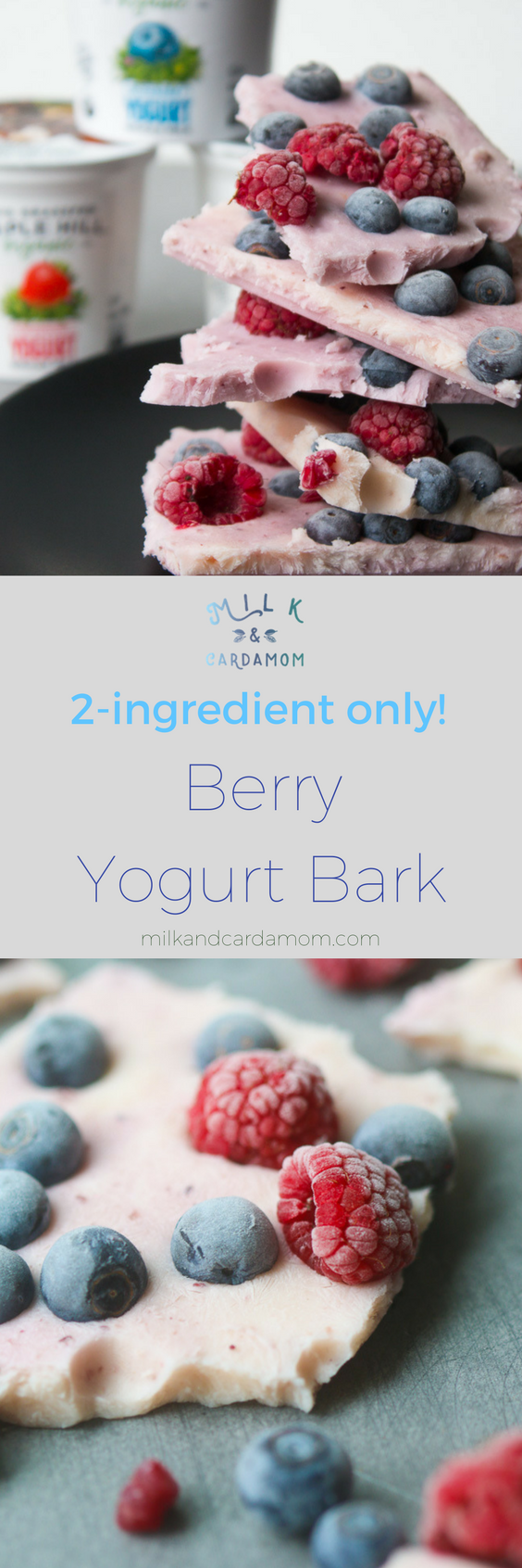 yogurt berry bark