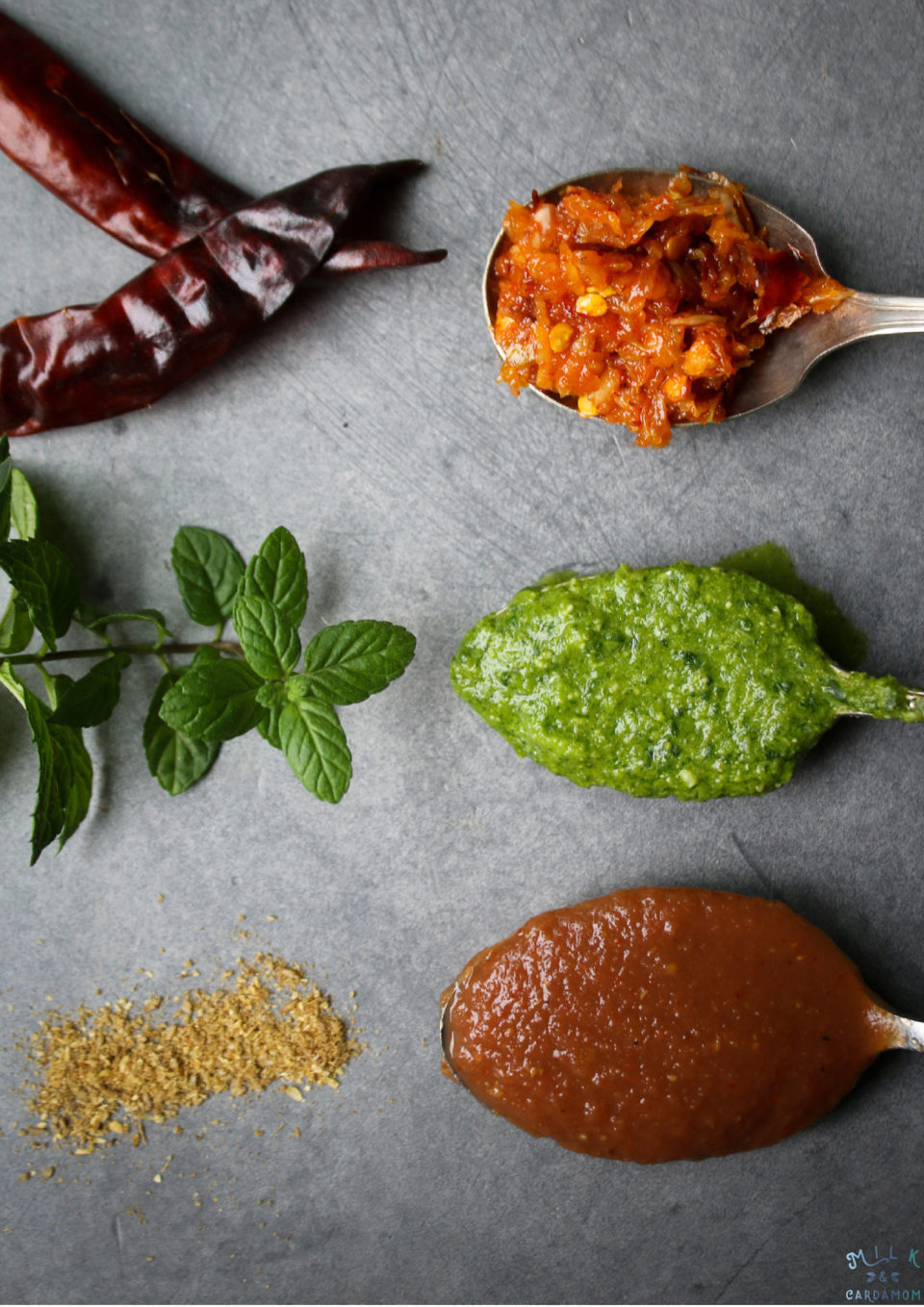 Featured Chutney Recipes| Indian Style