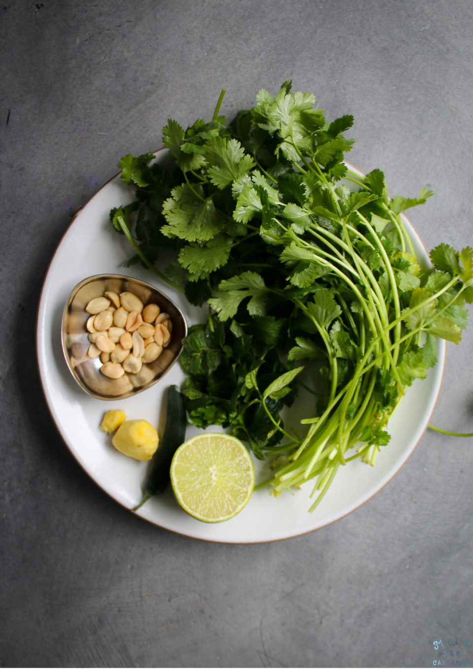 Green Chutney Recipe | Milk and Cardamom