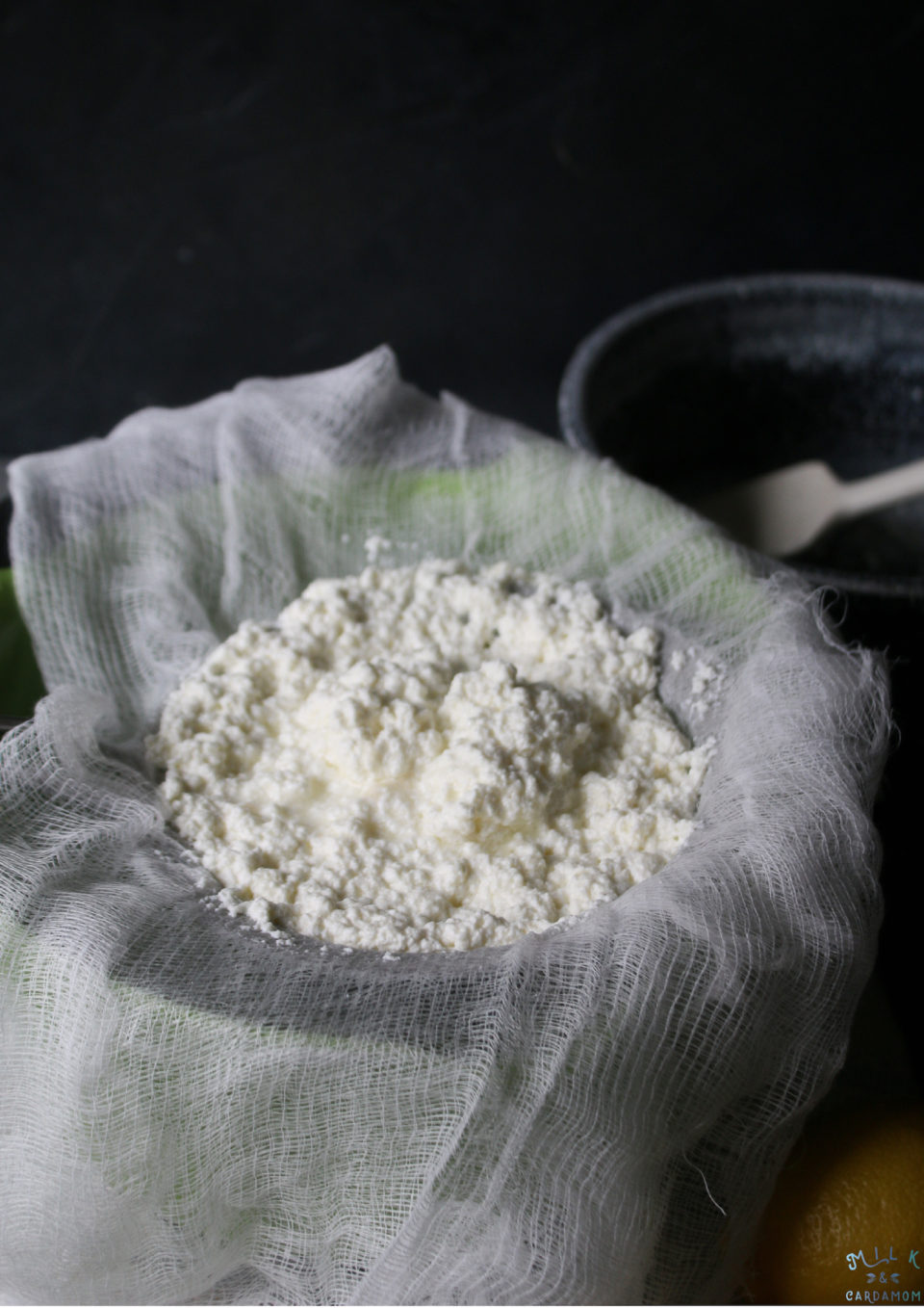 Homemade Fresh Paneer Recipe | Milk and Cardamom