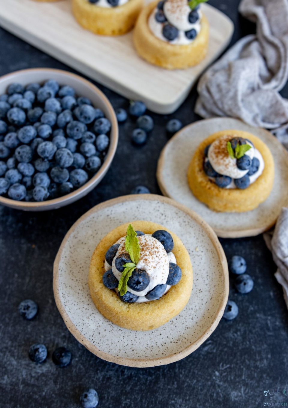 Blueberry Cinnamon Shortcakes