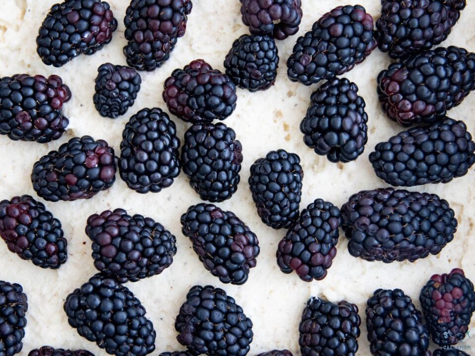 blackberries on a buckle batter for a Blackberry Cardamom Khoya Buckle