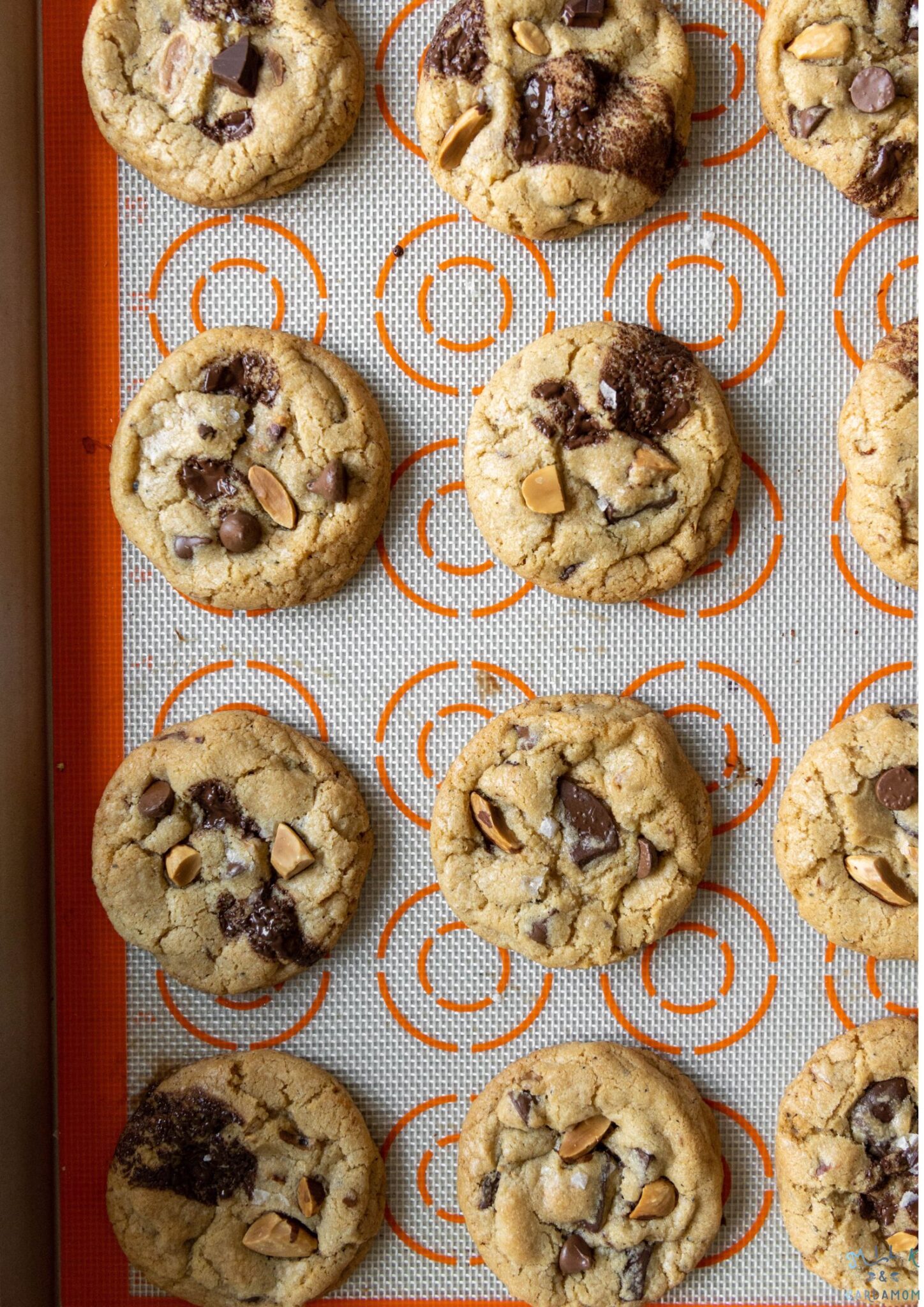 Black Cardamom and Toasted Almond Chocolate Chip Cookies Milk & Cardamom