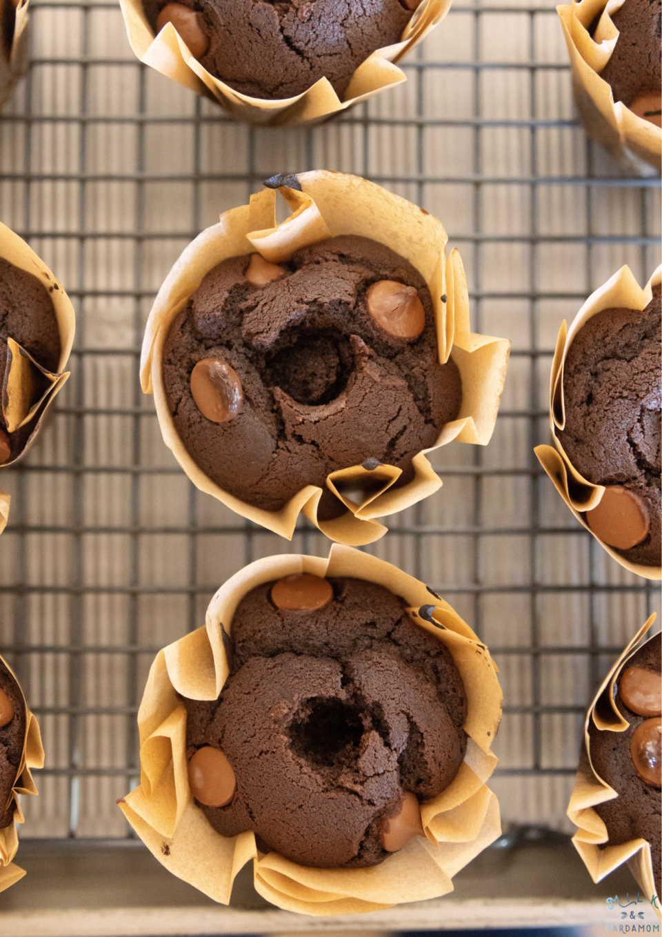 Olympic Chocolate Muffin Recipe